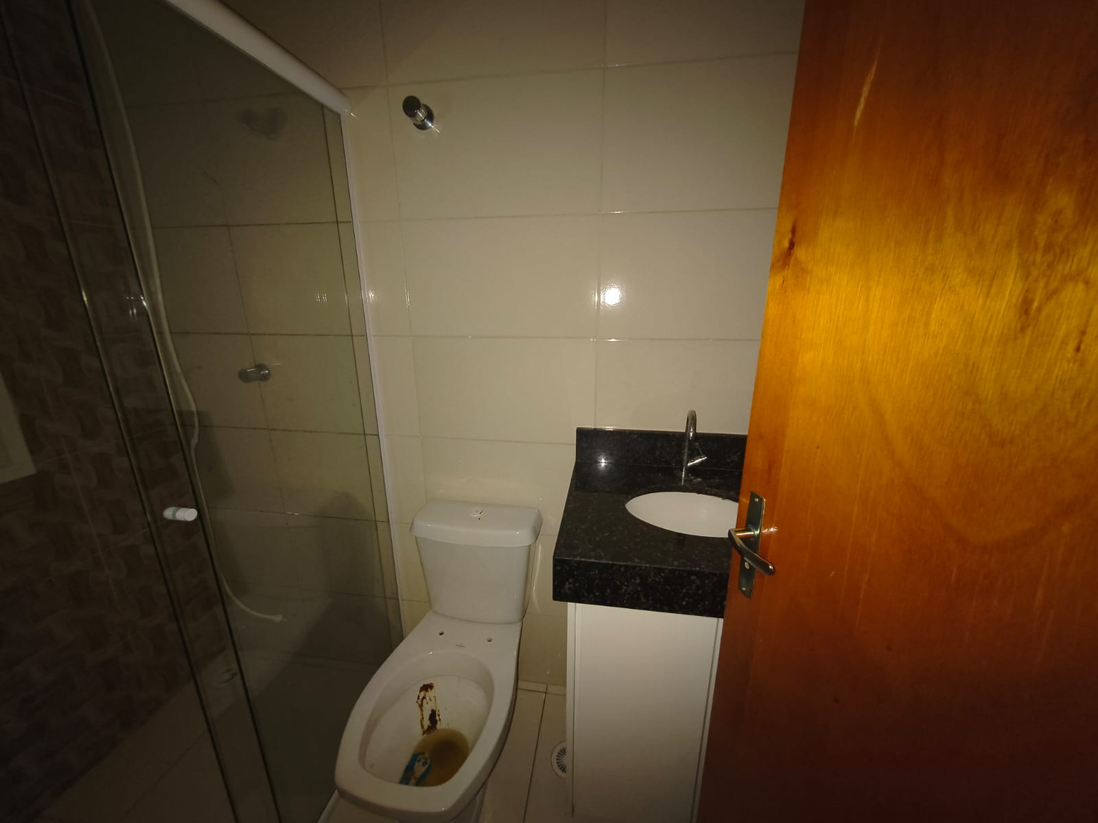 Apartamento 2 dorms — Bairro do Limão, para alugar!
